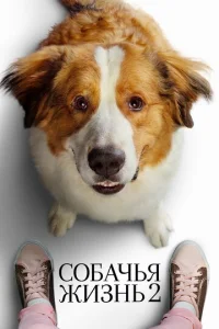 C0бaկbᴙ жuʒнb 2